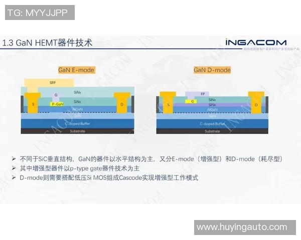 老虎竞技与萨斯菲尔德对决结果揭晓精彩瞬间回顾与分析